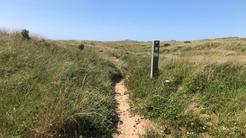 Image shows a sandy path towards devils hole at NT Formby, with marram grass either side